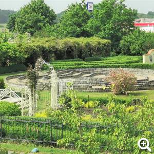 Irrgarten des Lebens