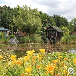 Der Fischer und seine Frau